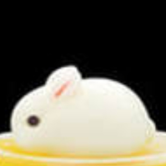 Meet your Posher,  Diana - Picture 1 of 1